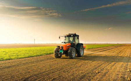 Agro registra recorde de recuperações judiciais