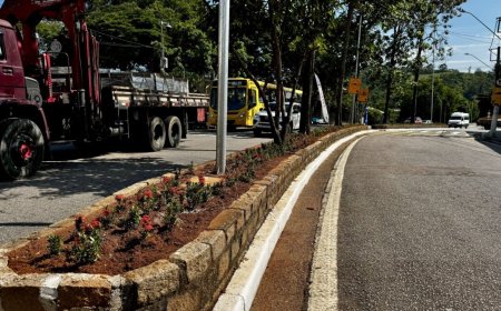 Novo paisagismo transforma visual da Avenida Itatiba, na Vila Rio Branco