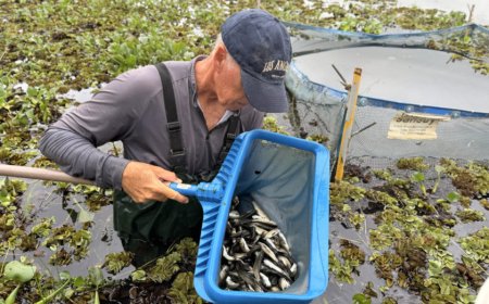 Ações contínuas na represa asseguram a qualidade do abastecimento em Jundiaí