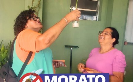 Francisco Morato intensifica combate à dengue com ação casa a casa no Parque Paulista