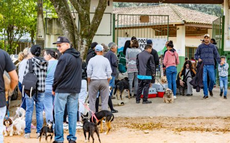 Jundiaí entrega 287 castrações e microchipagens em março