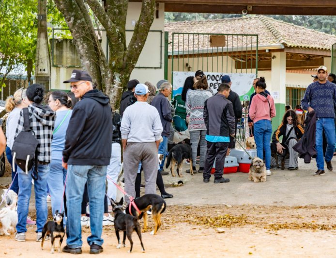Jundiaí entrega 287 castrações e microchipagens em março