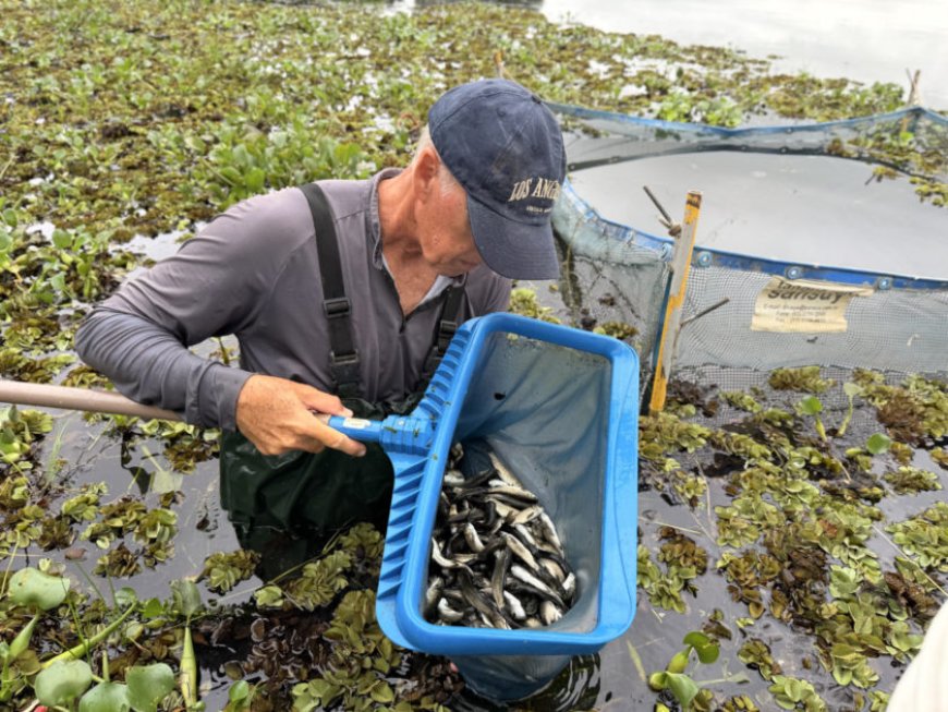Ações contínuas na represa asseguram a qualidade do abastecimento em Jundiaí