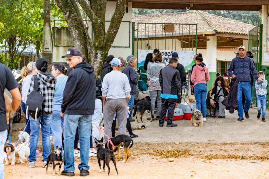 Jundiaí entrega 287 castrações e microchipagens em março