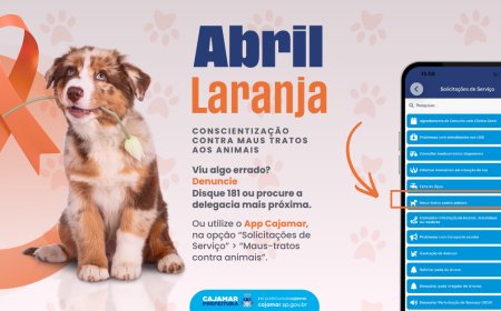 Abril Laranja: Cajamar reforça combate aos maus-tratos e incentiva denúncias