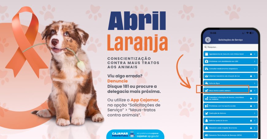 Abril Laranja: Cajamar reforça combate aos maus-tratos e incentiva denúncias