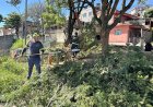 “Morato em Ação” percorre bairros da cidade