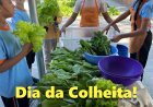 Escola em Tempo Integral de Francisco Morato realiza Dia da Colheita da Horta Escolar