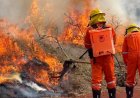 Caieiras participa do Simulado de Incêndio em Cobertura Vegetal: prevenção e união contra as queimadas