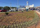 Rotatória do Ginásio do Polvilho recebe novo paisagismo e começa a ganhar nova aparência