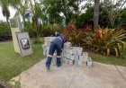 Jardim Botânico de Jundiaí entra na fase final de modernização e reforça preservação e bem-estar