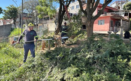 “Morato em Ação” percorre bairros da cidade