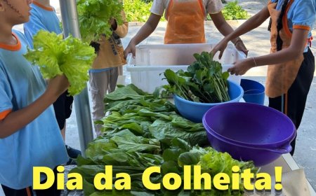 Escola em Tempo Integral de Francisco Morato realiza Dia da Colheita da Horta Escolar