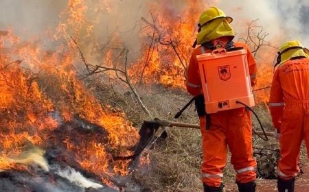 Caieiras participa do Simulado de Incêndio em Cobertura Vegetal: prevenção e união contra as queimadas