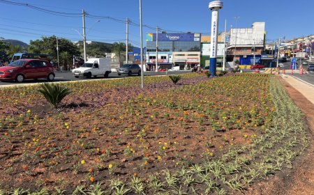 Rotatória do Ginásio do Polvilho recebe novo paisagismo e começa a ganhar nova aparência
