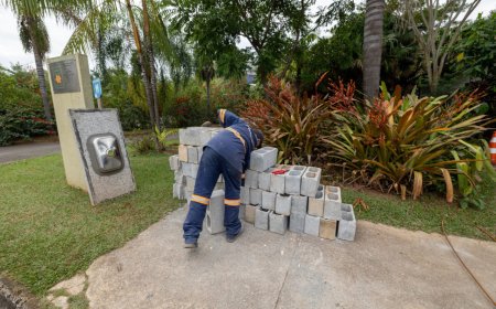 Jardim Botânico de Jundiaí entra na fase final de modernização e reforça preservação e bem-estar