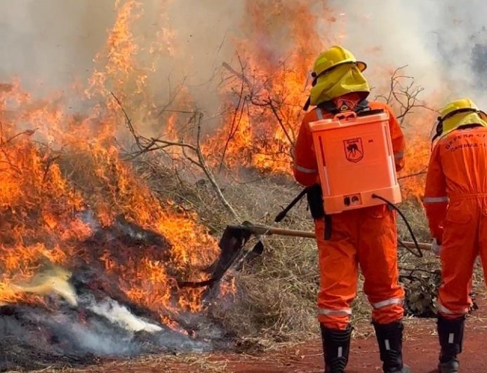 Caieiras participa do Simulado de Incêndio em Cobertura Vegetal: prevenção e união contra as queimadas