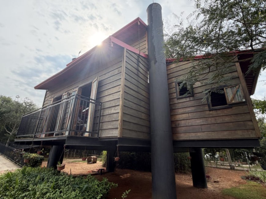 Foguete e Casa da Árvore do Mundo das Crianças passam por reforma e revitalização
