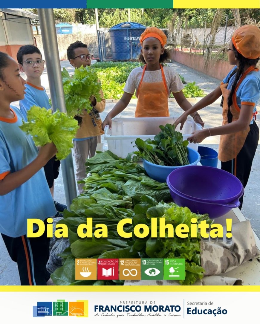 Escola em Tempo Integral de Francisco Morato realiza Dia da Colheita da Horta Escolar