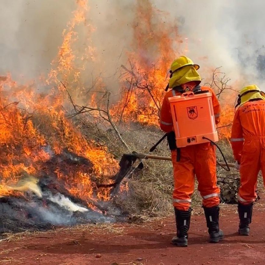 Caieiras participa do Simulado de Incêndio em Cobertura Vegetal: prevenção e união contra as queimadas