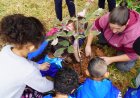 Prefeitura de Caieiras promove plantio de mudas nativas em celebração ao Dia Mundial do Meio Ambiente