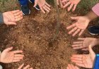 Semana do Meio Ambiente mobiliza Caieiras com ações de conscientização, educação ambiental e preservação