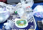 GCM apreende drogas e prende quatro indivíduos por tráfico