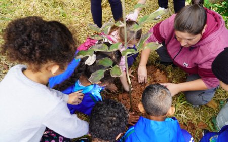 Prefeitura de Caieiras promove plantio de mudas nativas em celebração ao Dia Mundial do Meio Ambiente