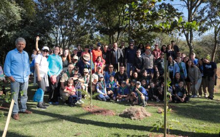 Prefeitura de Jundiaí e DAE promovem plantio de árvores nativas em celebração ao Dia Mundial do Meio Ambiente