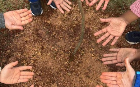 Semana do Meio Ambiente mobiliza Caieiras com ações de conscientização, educação ambiental e preservação