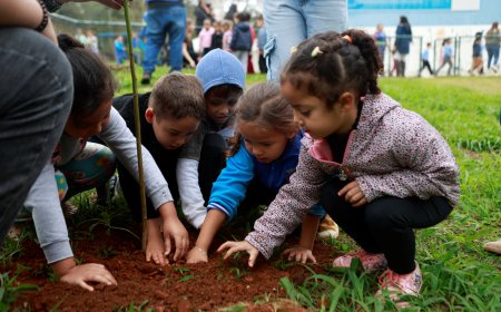 Franco da Rocha realizou Semana do Meio Ambiente com atividades em diferentes regiões da cidade