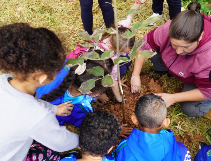 Prefeitura de Caieiras promove plantio de mudas nativas em celebração ao Dia Mundial do Meio Ambiente
