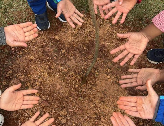 Semana do Meio Ambiente mobiliza Caieiras com ações de conscientização, educação ambiental e preservação
