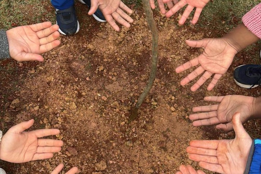 Semana do Meio Ambiente mobiliza Caieiras com ações de conscientização, educação ambiental e preservação