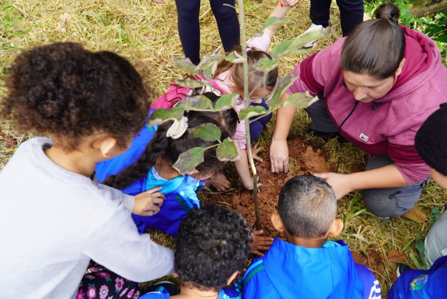 Prefeitura de Caieiras promove plantio de mudas nativas em celebração ao Dia Mundial do Meio Ambiente