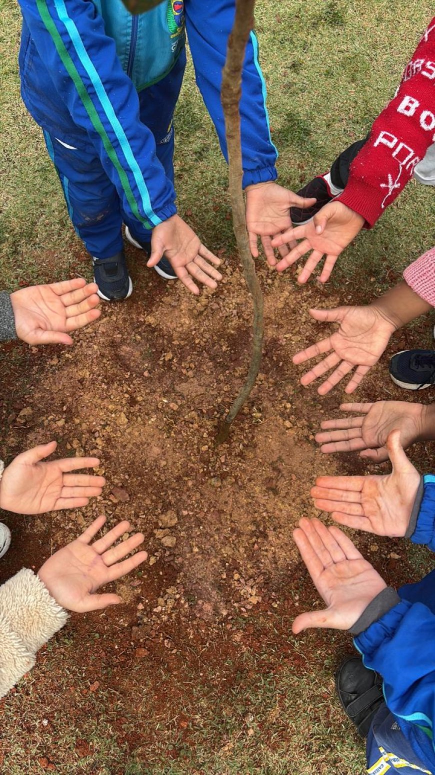Semana do Meio Ambiente mobiliza Caieiras com ações de conscientização, educação ambiental e preservação