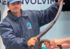 Equipe da Divisão de Zoonoses de Caieiras participa de treinamento para manejo e captura de animais silvestres