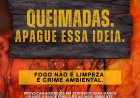 Você sabia que queimada é crime?