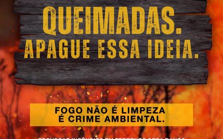 Você sabia que queimada é crime?
