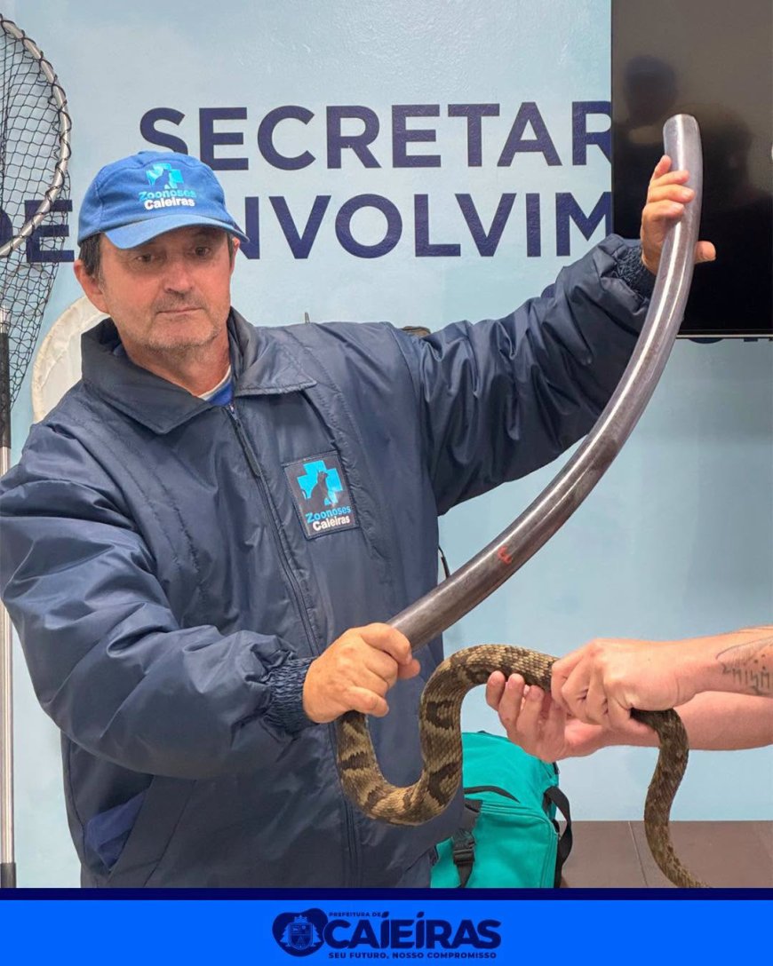 Equipe da Divisão de Zoonoses de Caieiras participa de treinamento para manejo e captura de animais silvestres