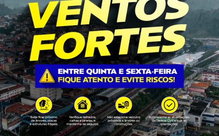 Defesa Civil alerta para rajadas de vento e orienta população de Franco da Rocha