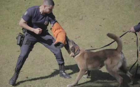 GCM de Franco da Rocha promove 1º curso para atuação com cães na segurança pública