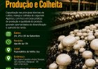 Mairiporã promove Curso | Cogumelo Agáricus – Produção e Colheita