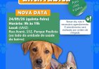 Francisco Morato realiza vacinação antirrábica para cães e gatos nesta quinta-feira