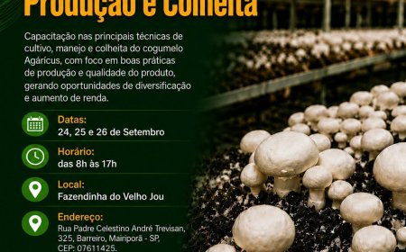 Mairiporã promove Curso | Cogumelo Agáricus – Produção e Colheita