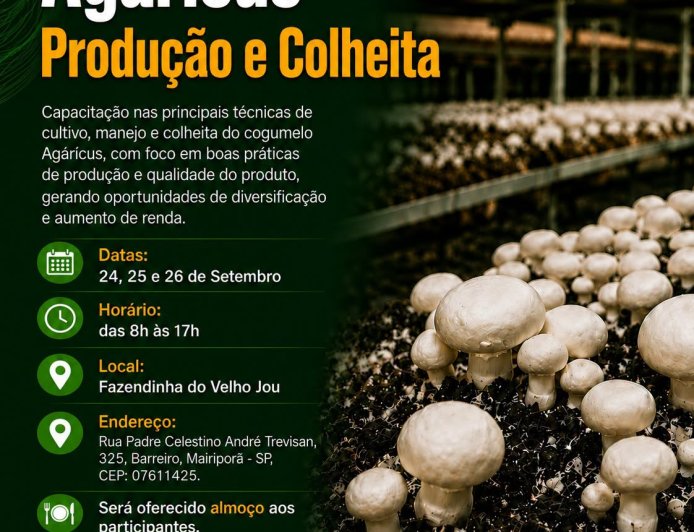 Mairiporã promove Curso | Cogumelo Agáricus – Produção e Colheita