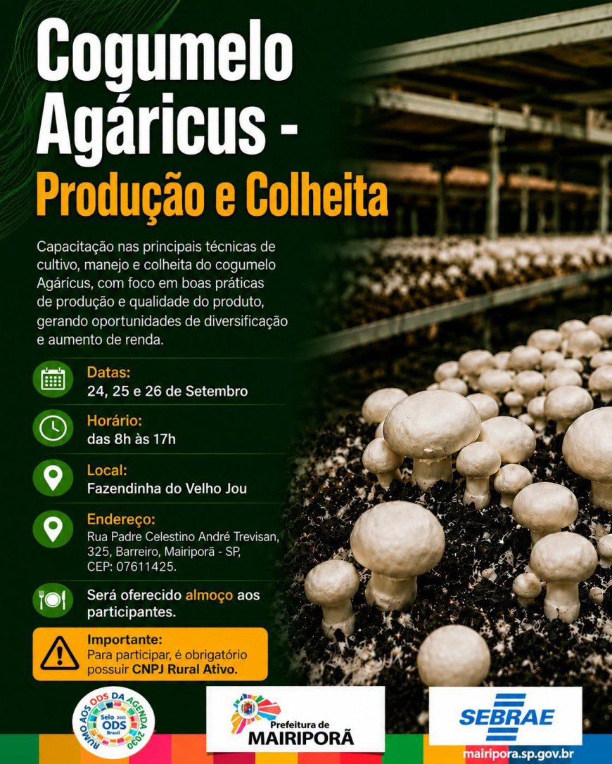Mairiporã promove Curso | Cogumelo Agáricus – Produção e Colheita