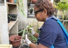 Cajamar intensifica ações de combate ao mosquito durante a Semana de Prevenção às Arboviroses