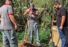 Francisco Morato cada vez mais verde e sustentável