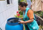 A luta contra a dengue continua em Francisco Morato.